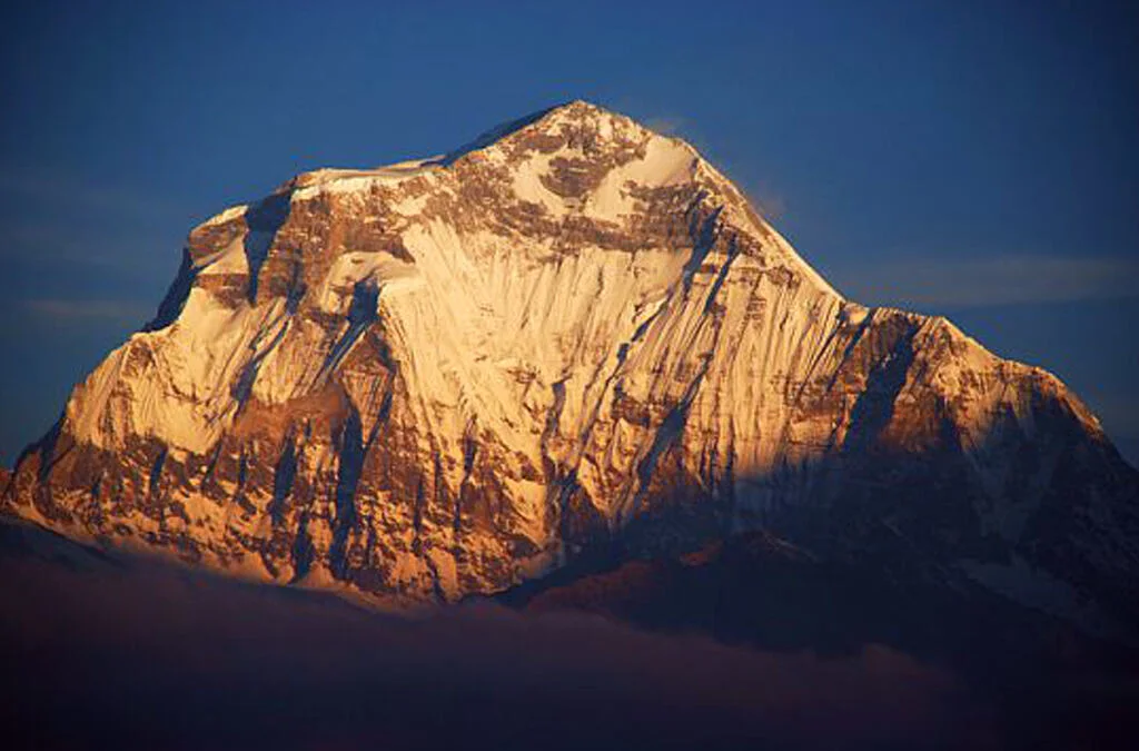 Gallery Img