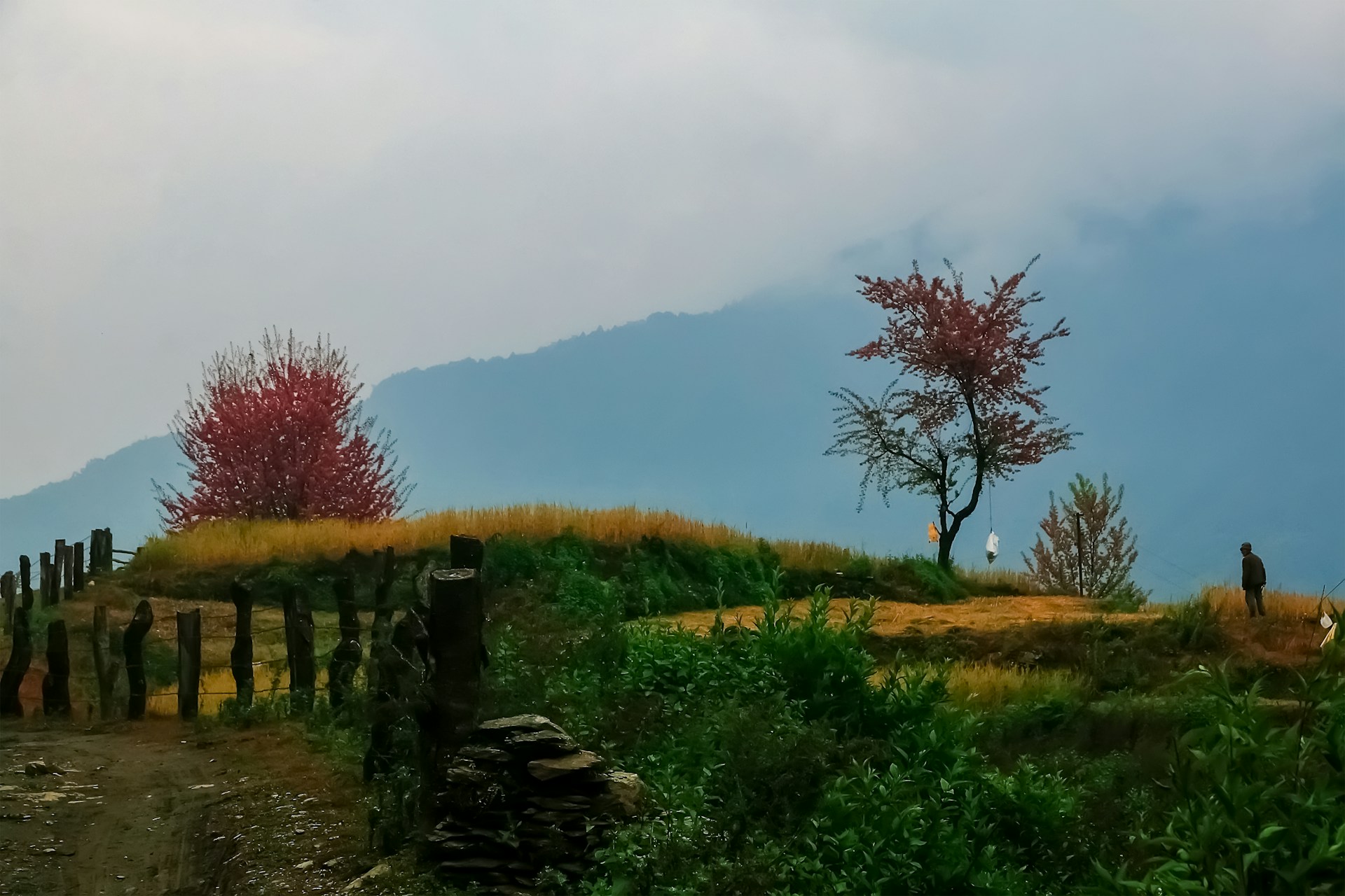 Dhampus Village Trek Tips