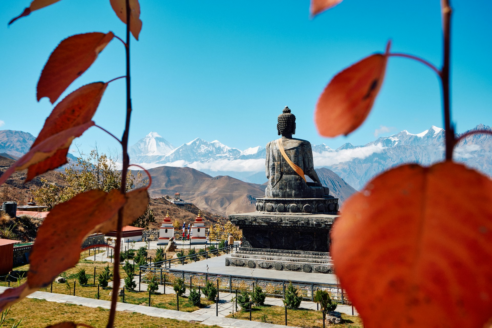 Celebrating Buddha Jayanti 2026 in Nepal