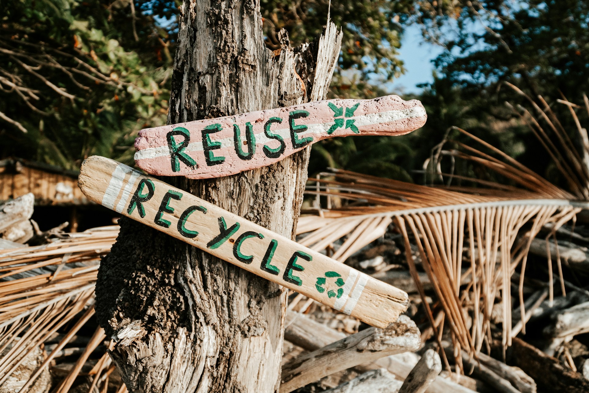 Recycling and Resue of Wastes