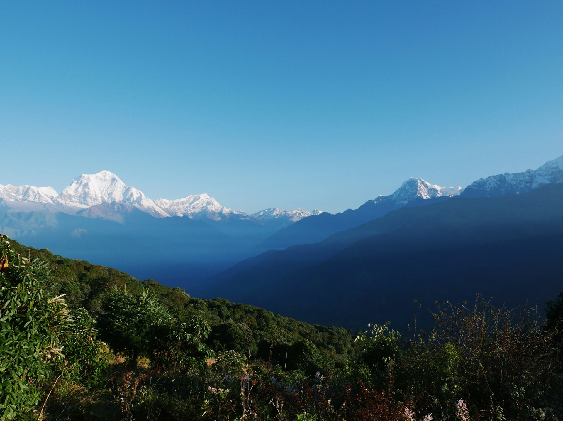 Khopra Ridge Trek Location