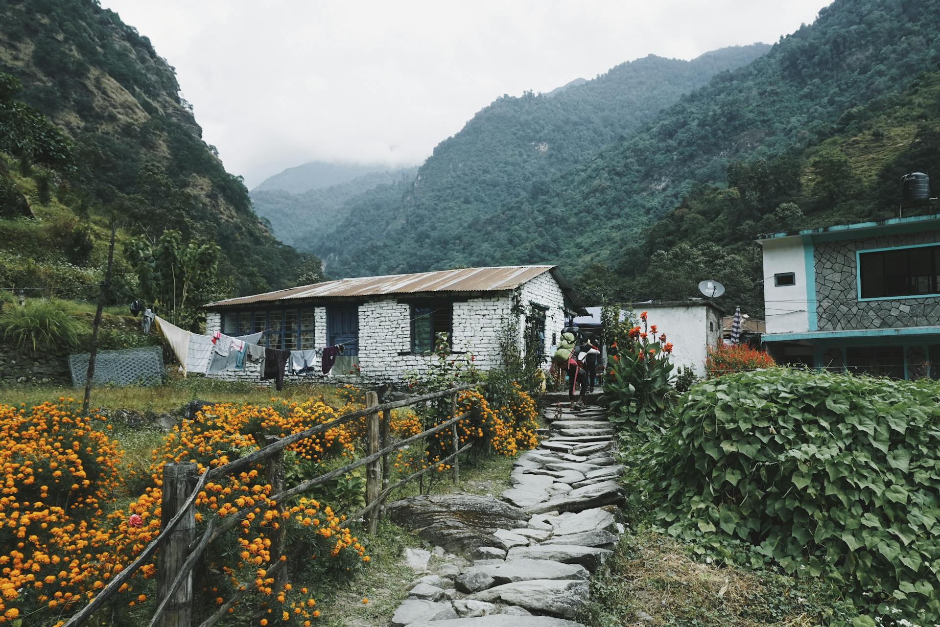 Why Dhampus Village Trek Is Ideal for Beginners